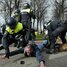 COVID-протест в Амстердаме: полицейские спустили собак