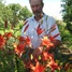 Jānis Austrums