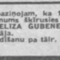 Elīza Gubene