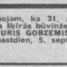Juris Gobzemis