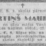 Mārtiņš Mauriņš